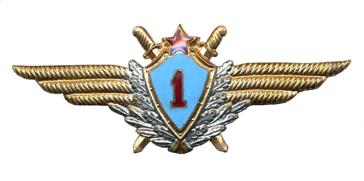 Военный лётчик 1-го класса