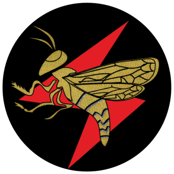 IAF Squadron 113.png