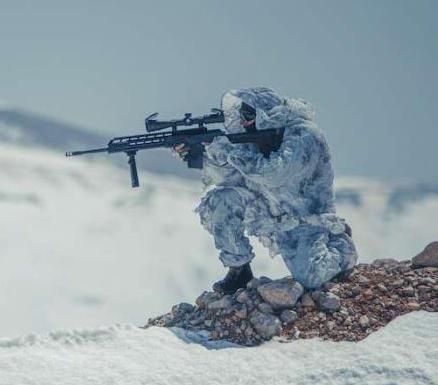 IWI ACE SNIPER RIFLE 3183.jpeg