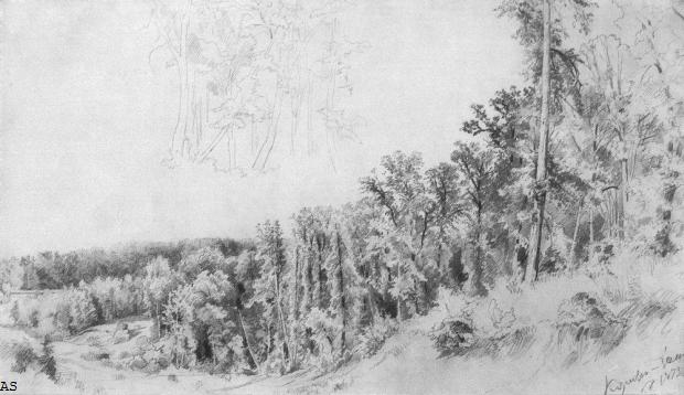 Овраг в Козловке-Засеке. 1873