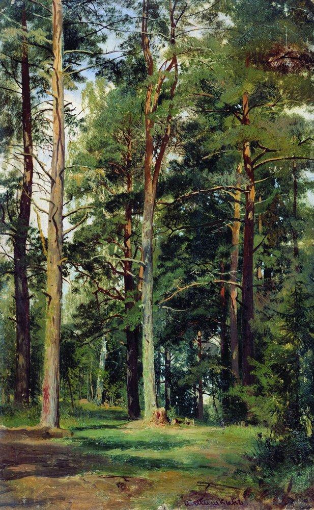Поляна с соснами (время создания неизвестно)
