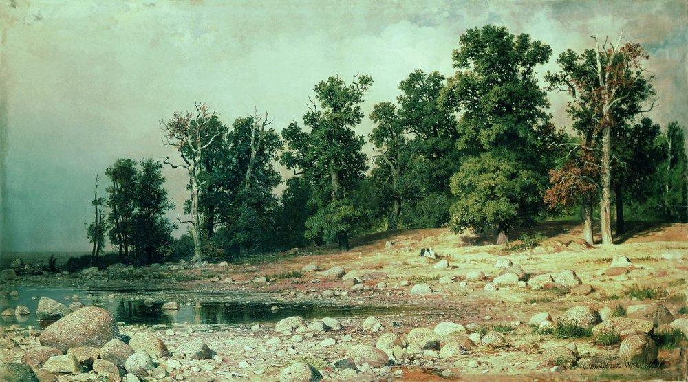 Побережье дубовой рощи Петра Великого в Сестрорецке. 1885