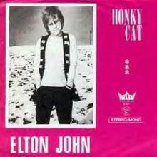 Honkycat.JPG