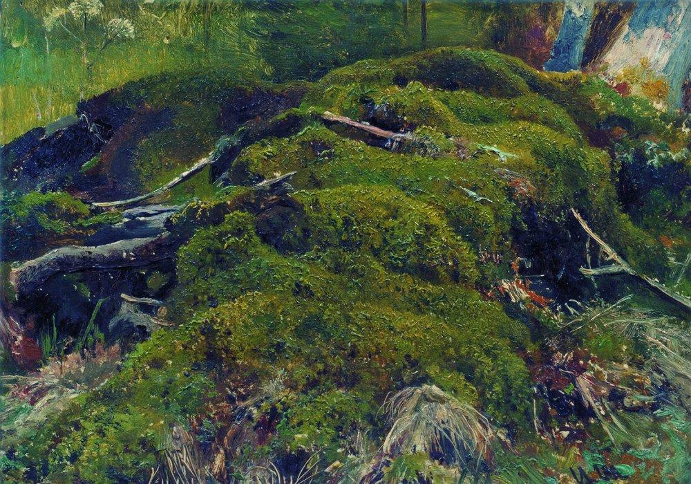 Мох. Корни (время создания неизвестно)