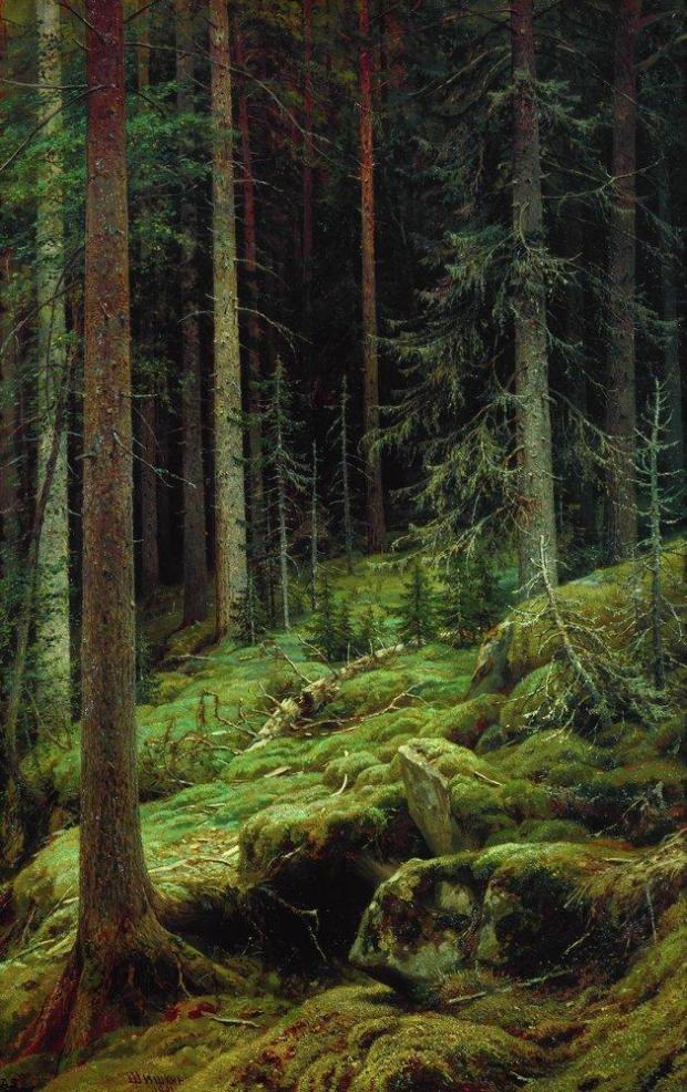 Дебри. 1881