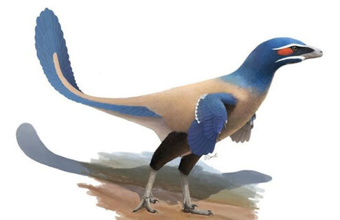 Albertavenator.jpg