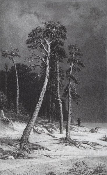 Сосны. 1885—1892