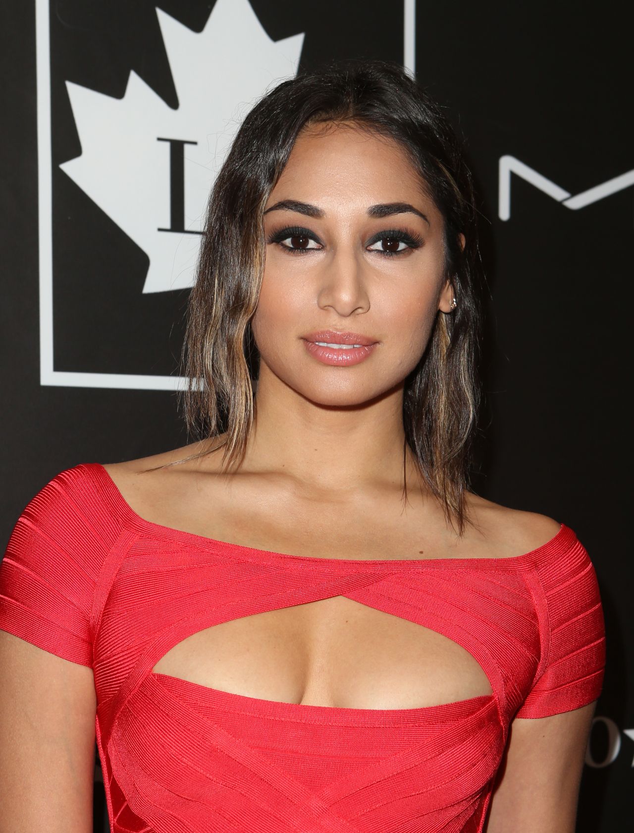 Meaghan-rath-golden-maple-awards-2016-in-los-angeles-1.jpg