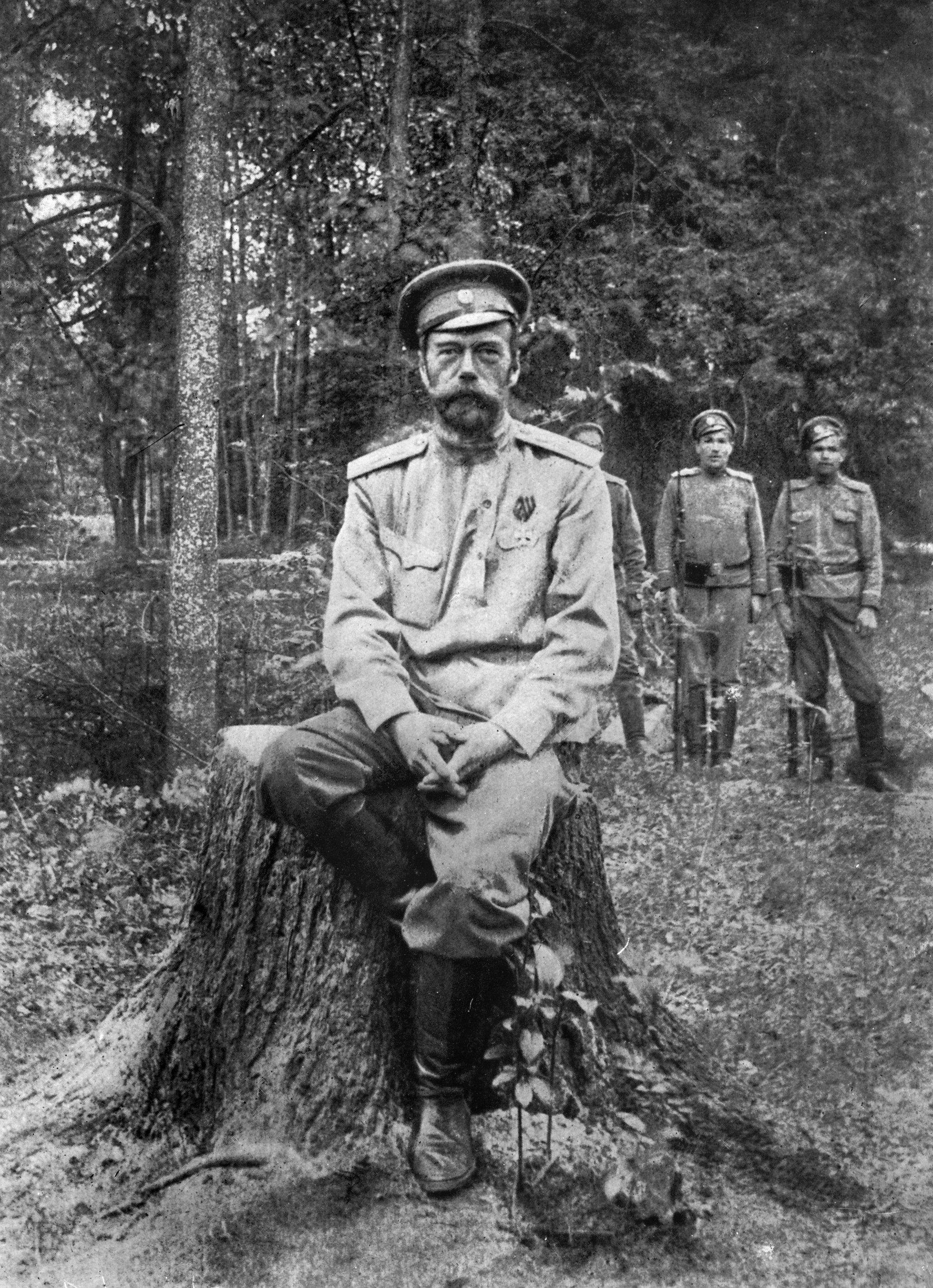 Николай II под арестом в Царском Селе, 1917