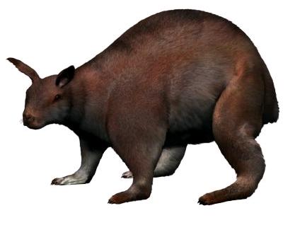 Lagomorpha 11.jpg