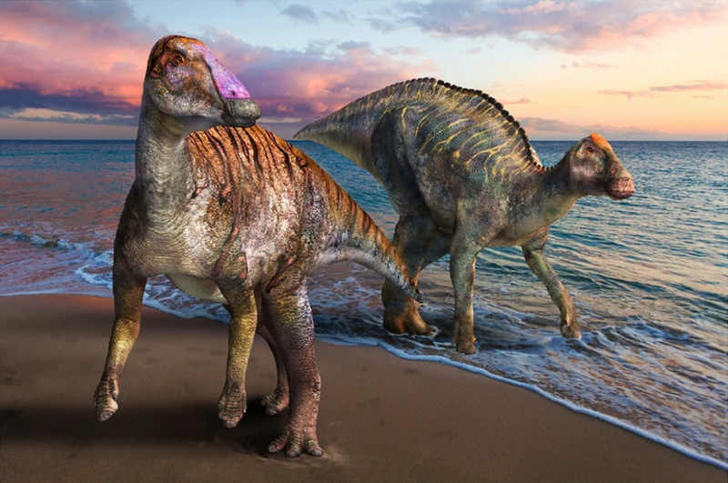 Yamatosaurus izanagii restoration.webp.png