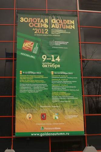 Файл:Золотая осень-2012.jpg