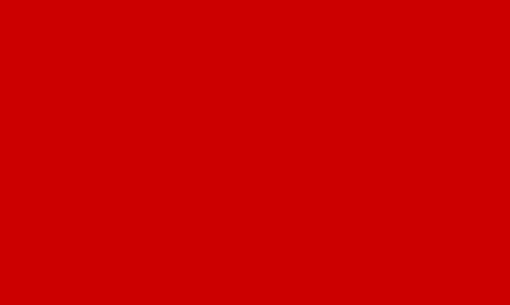 Флаг БСР.png