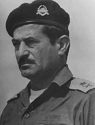 Musa peled.jpg