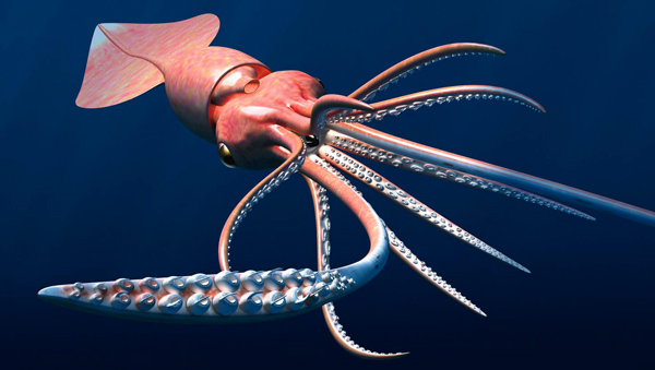 Squidmain1.jpg