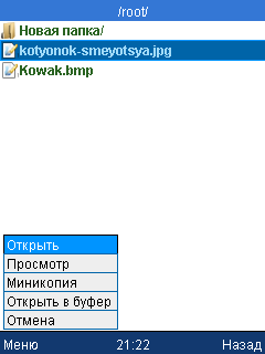 Выбор картинки в файловом браузере.