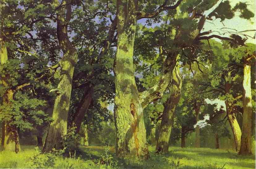 Дубы. Вечер. 1887