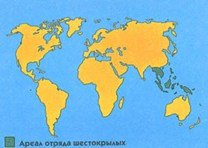 Ареал распространения
