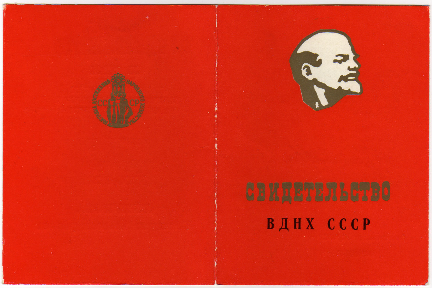 Внешний вид