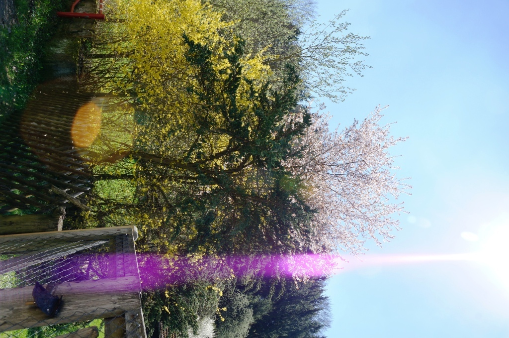 C03931.jpg
