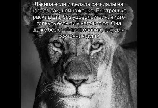 Львица 3.png
