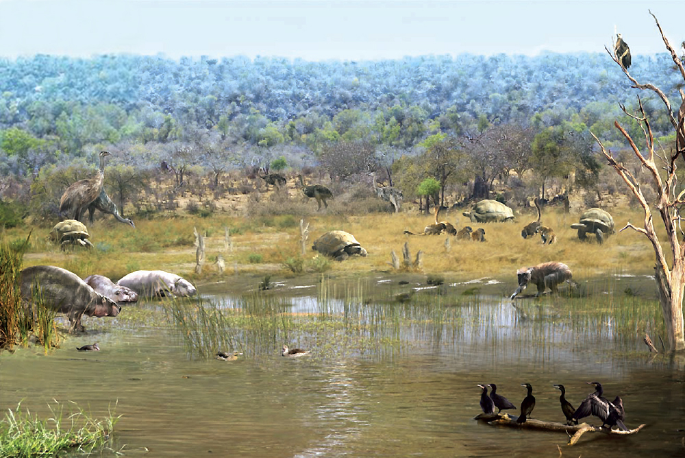 Madagascar before human.jpg