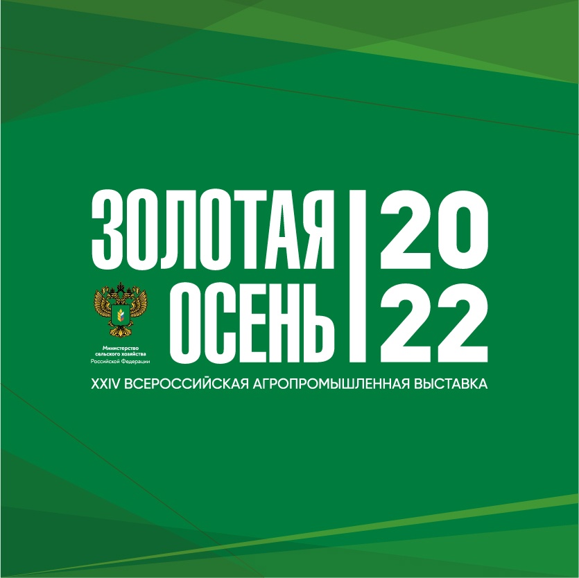 Файл:Золотая осень-2022.jpg