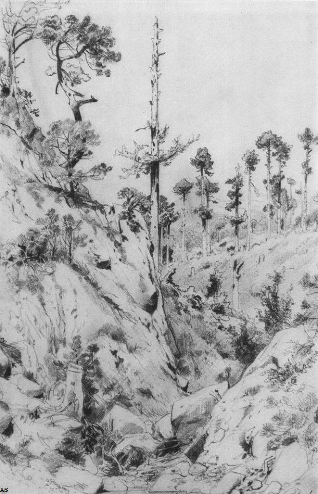 Крымский вид. У Ялты. 1879