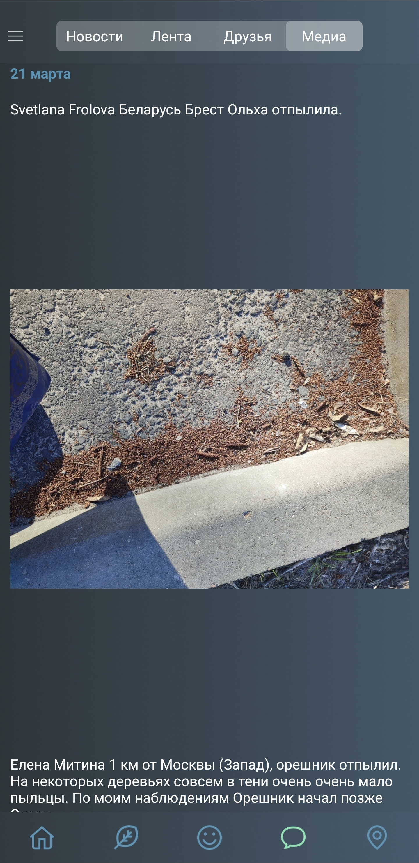 Screenshot 20250327 152657 Pollen Club.jpg