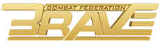 Файл:ММА Промоушен Brave.png