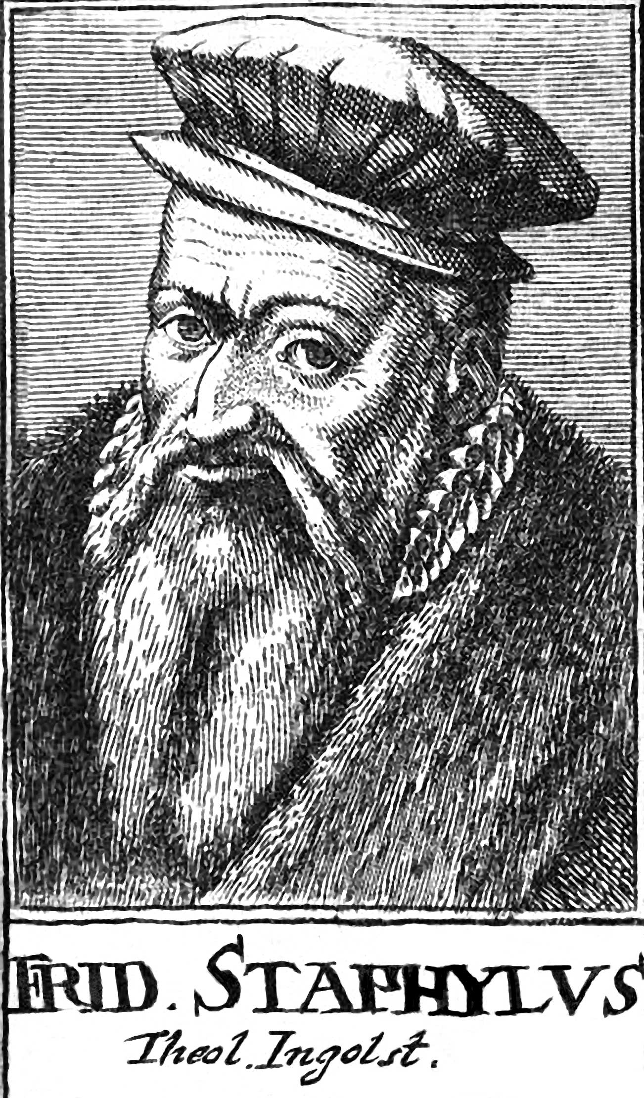 FriedrichStaphylus.jpg