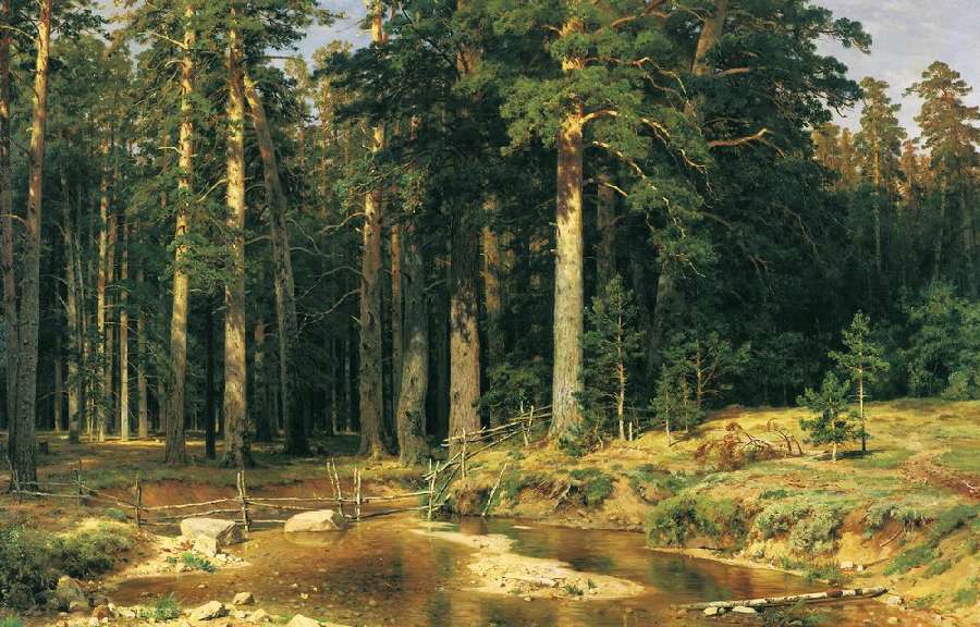 Корабельная роща. 1898
