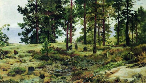 На песчаном грунте. Мери-Хови по Финской железной дороге. 1889—1890