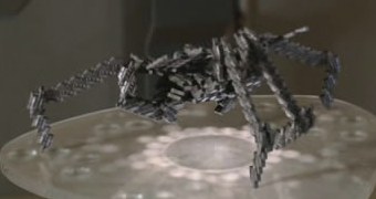 Replicatorbug.jpg