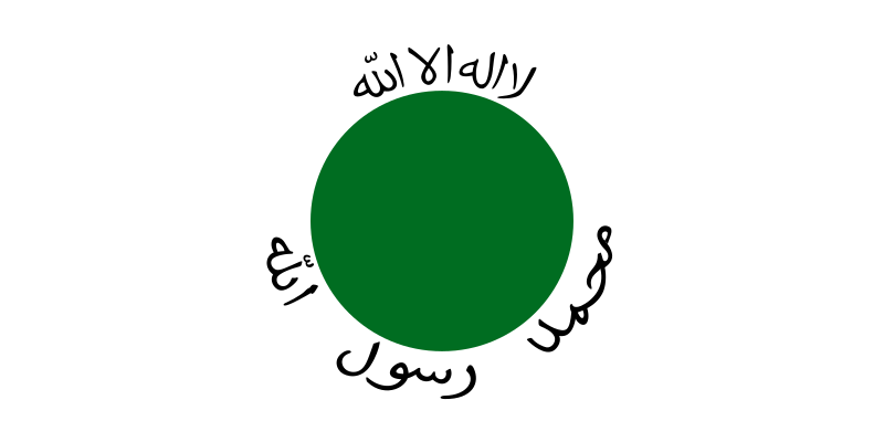 Файл:Flag of Somaliland until 1996.svg
