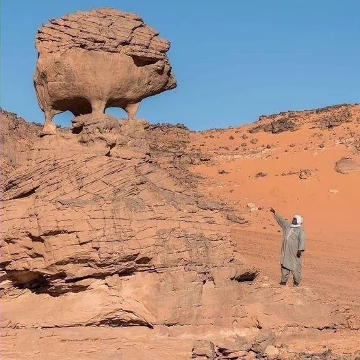 Файл:This-rock-is-called-the-hedgehog-rock-and-is-located-on-the-v0-eb1c86k9ob1d1.webp